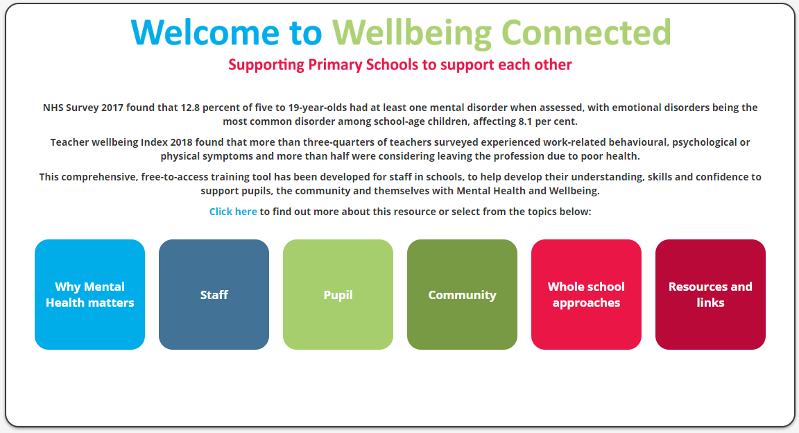 Screen shot of wellbeing connected website. Shows navigation of sections. Why mental health matters, staff, pupil, community, whole school approaches and resources and links.
