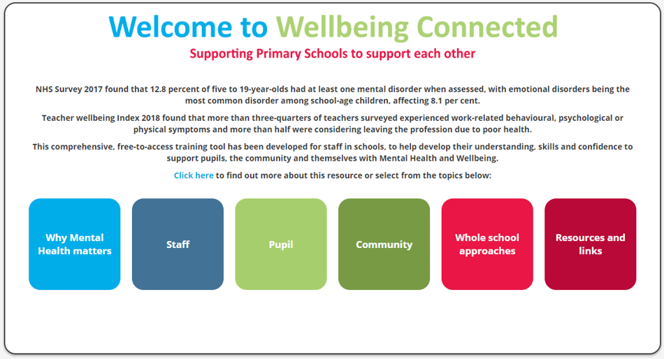 Screen shot of wellbeing connected website. Shows navigation of sections. Why mental health matters, staff, pupil, community, whole school approaches and resources and links.